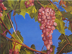 Raisins;
Huile sur toile  33cm x 43cm)  
